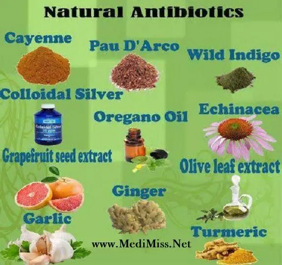 1000+ images about Natural Antibiotics on Pinterest