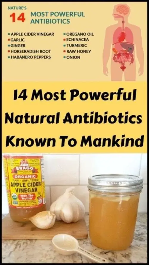 14 Powerful Natural Antibiotics!