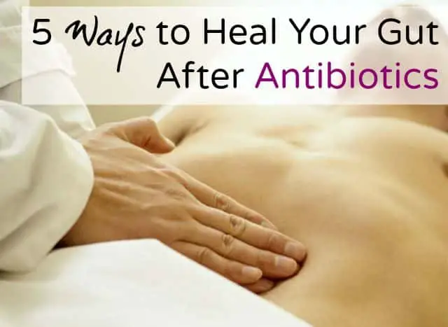 5 Ways to Heal Your Gut After Antibiotics