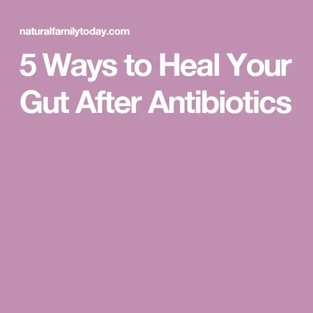 5 Ways to Heal Your Gut After Antibiotics
