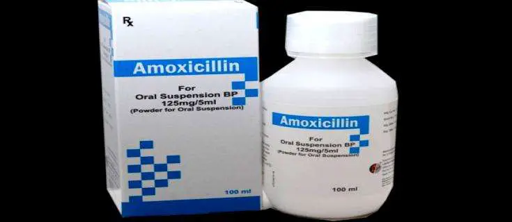 500mg amoxicillin for tooth infection, amoxicillin 500mg ...
