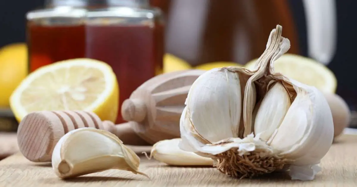 6 of the Strongest Natural Antibiotics You Have Hiding in ...