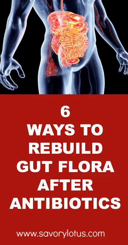 6 Ways to Rebuild Gut Flora After Antibiotics