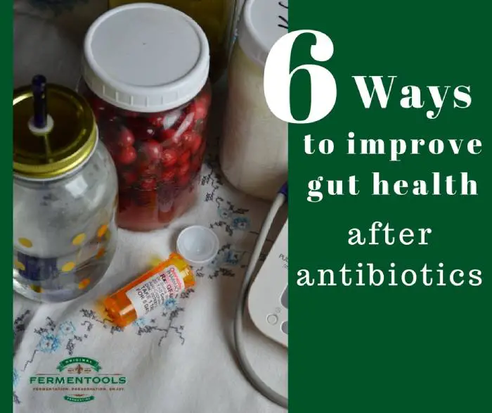 6 Ways to Restore Healthy Gut Flora