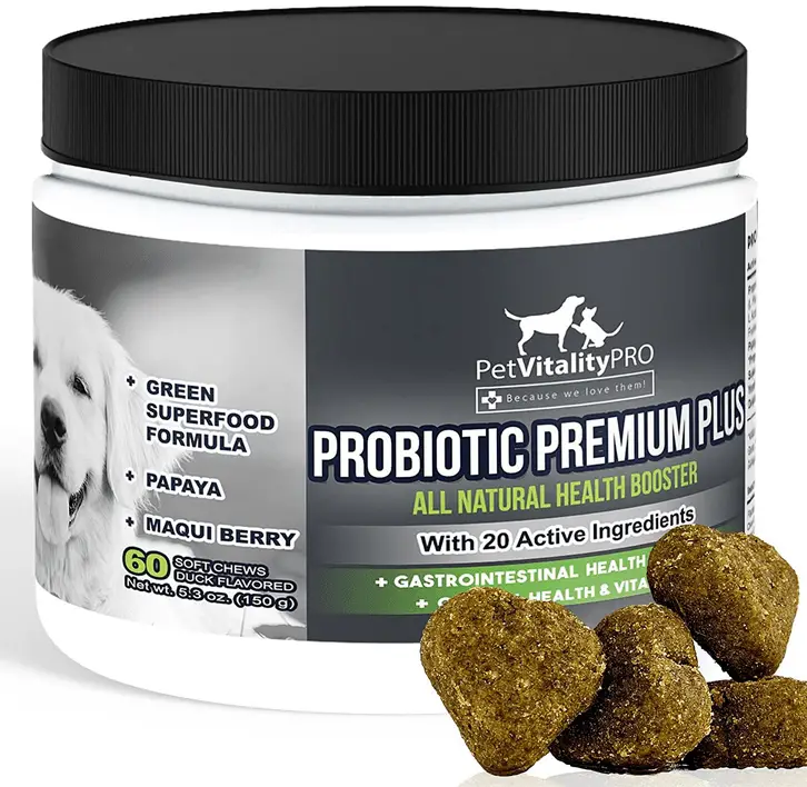 7 Best Probiotic for Yeast Infections In Dogs
