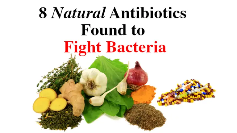 8 Natural Antibiotics Found to Fight Bacteria