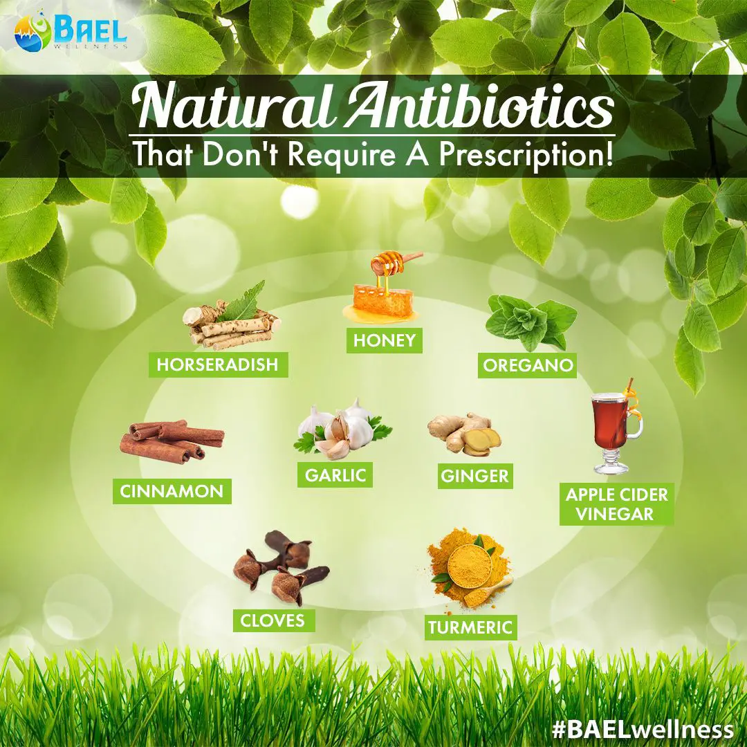 âï¸?âï¸?Powerful &  Effective natural Antibiotics at home. âï¸?âï¸? # ...