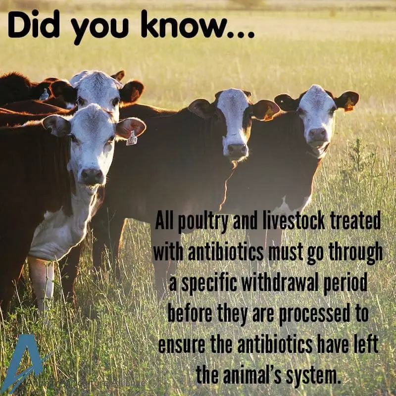 Agriculture Facts