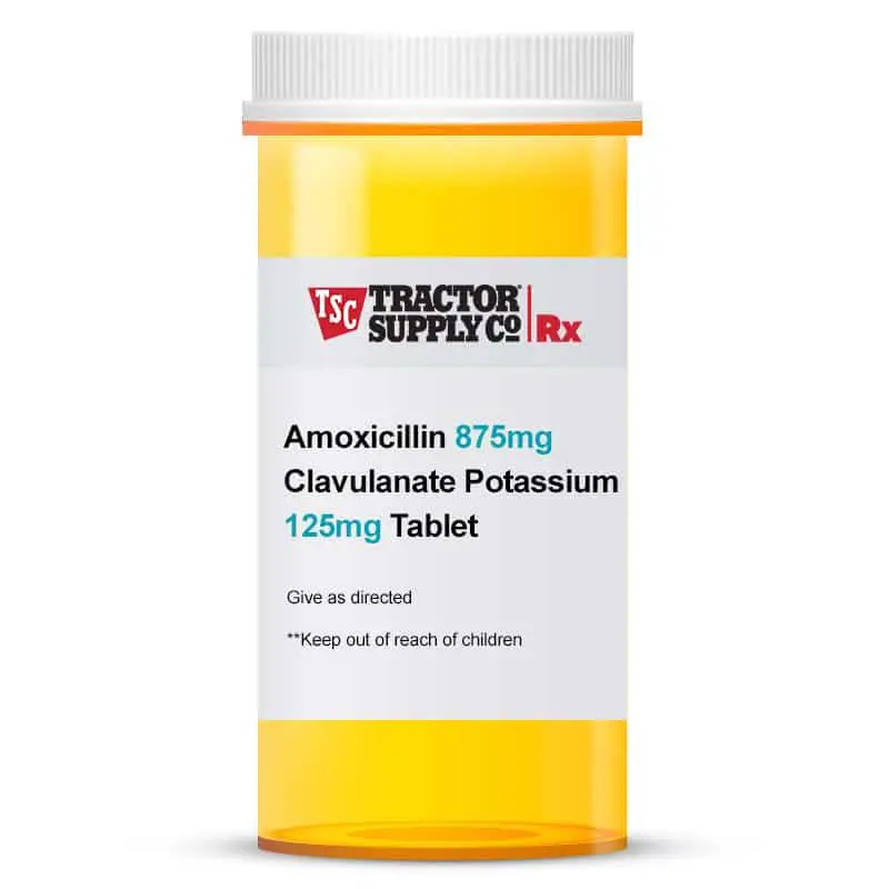 Amoxicillin Clavulanate For Pets Antibiotics At Tractor Supply Co