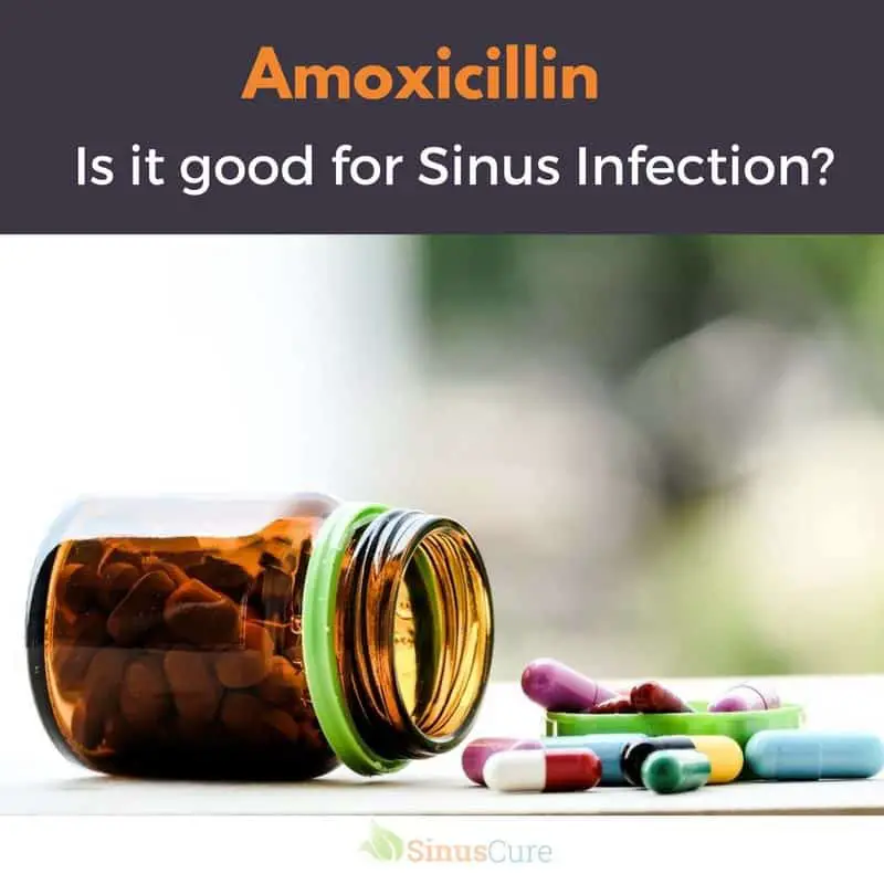 Amoxicillin For Sinus Infection  Is it Good?
