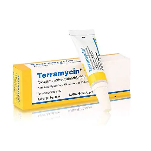 Animal Health Terramycin Antibiotic Ophthalmic Ointment 1/8 oz ...