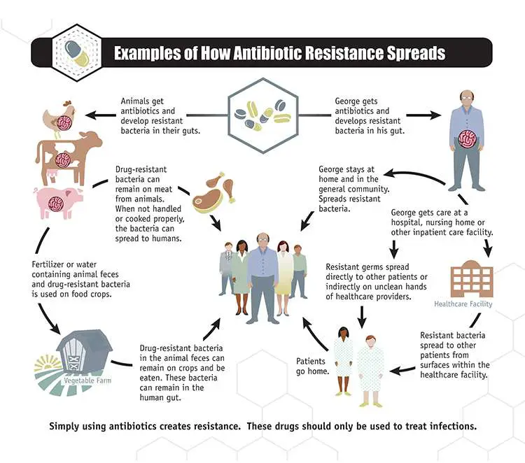 Antibiotic Resistance and NARMS Surveillance