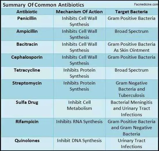 Antibiotics and What They Do....great chart to have for ...
