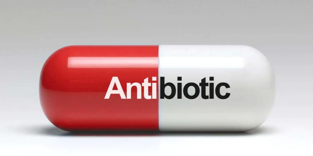 Antibiotics: Issues, Usage and Bacterial Infections