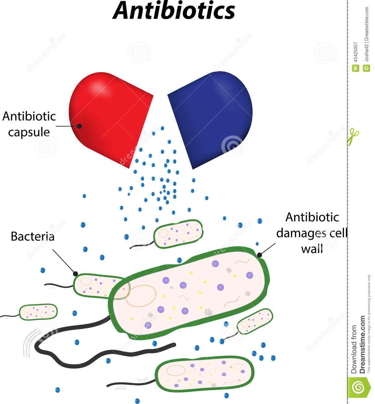 Antibiotics stock vector. Illustration of chemical, bacteria