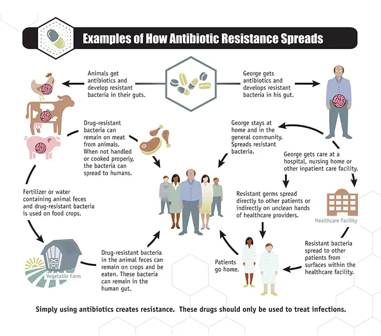 Antimicrobial Resistance &  Multidrug Resistant Salmonella