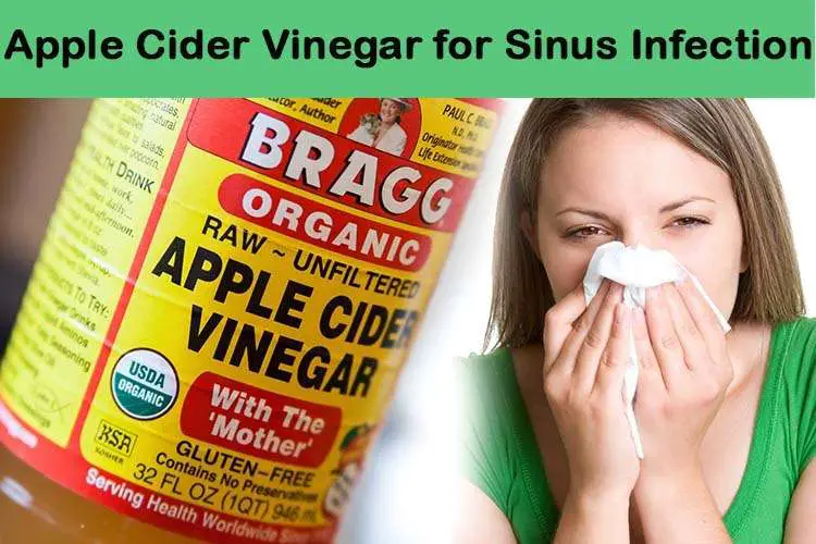 Apple Cider for Sinus Infection: 6 Best Uses You must Know (Updated 2019)