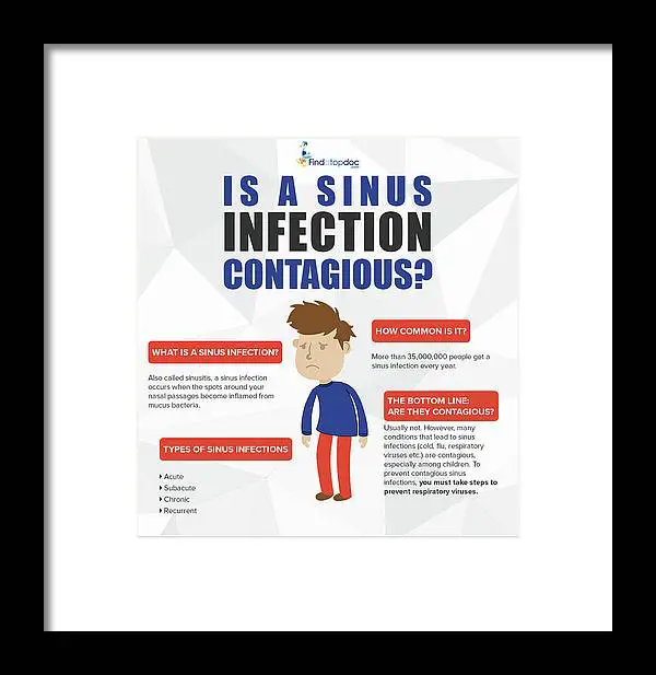 Are Sinus Infections Contagious