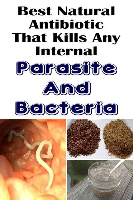 Best Natural Antibiotic That Kills Any Internal Parasite And Bacteria