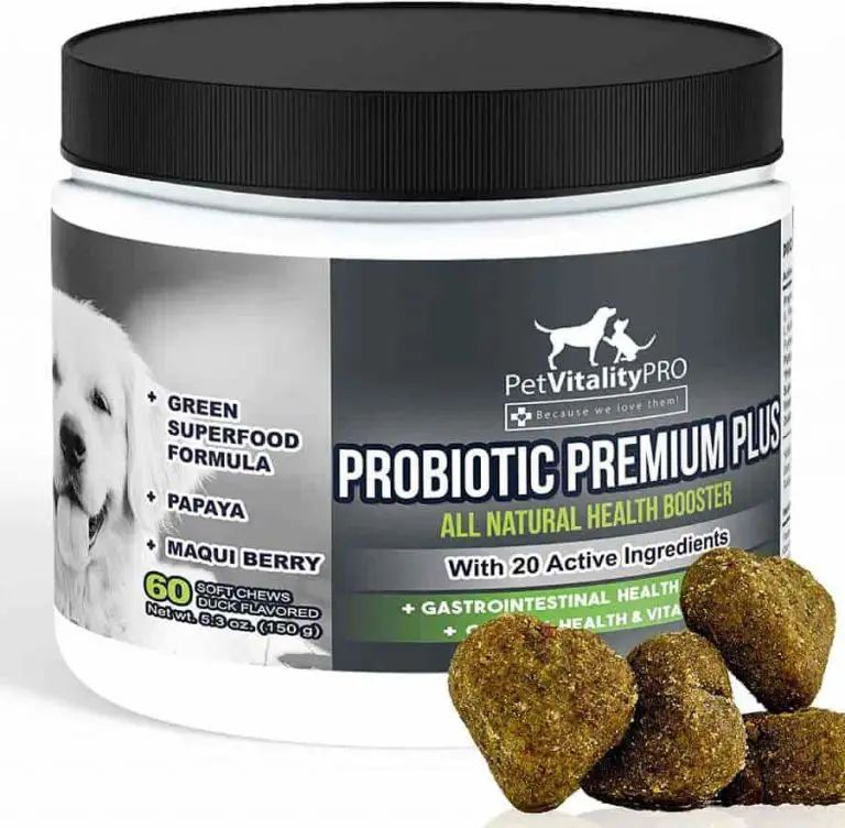 Best Probiotics For Dogs &  Puppies
