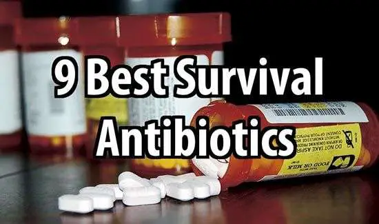 Buy Antibiotics Online Without Prescription
