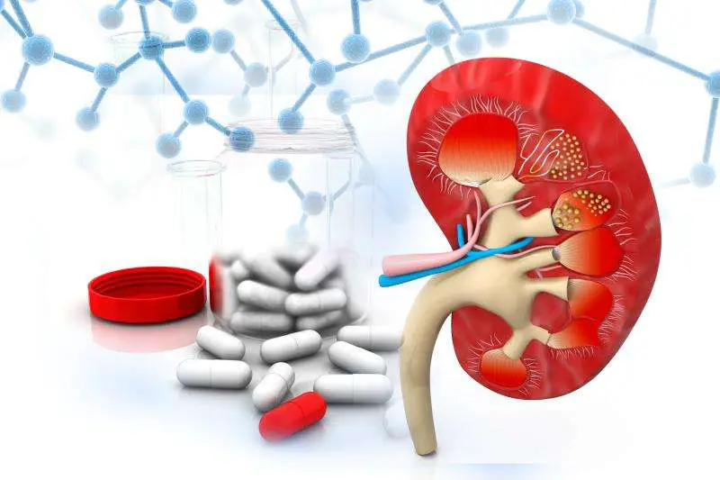 Certain oral antibiotics tied to increased risk of kidney ...