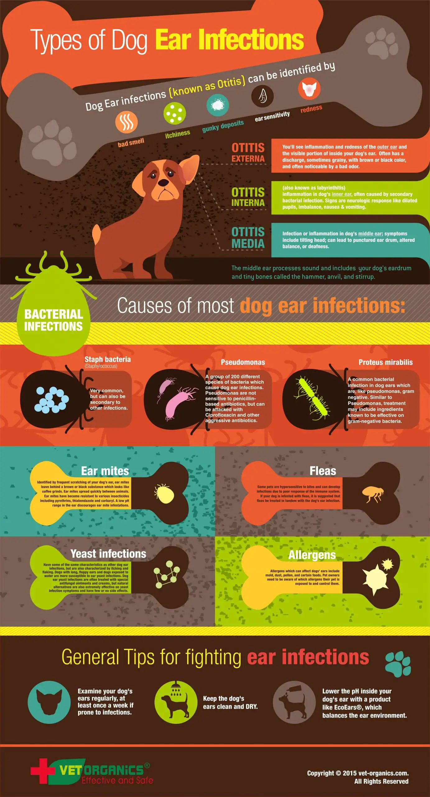 Combat Ear Infections In Dogs With The Right Dog Food ...