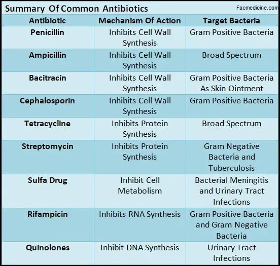 Comparison Between The Most Common Antibiotics