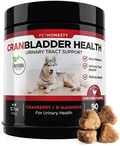 Cranberry for Dogs  Cranberry Pills for Dogs Bladder Support No More ...