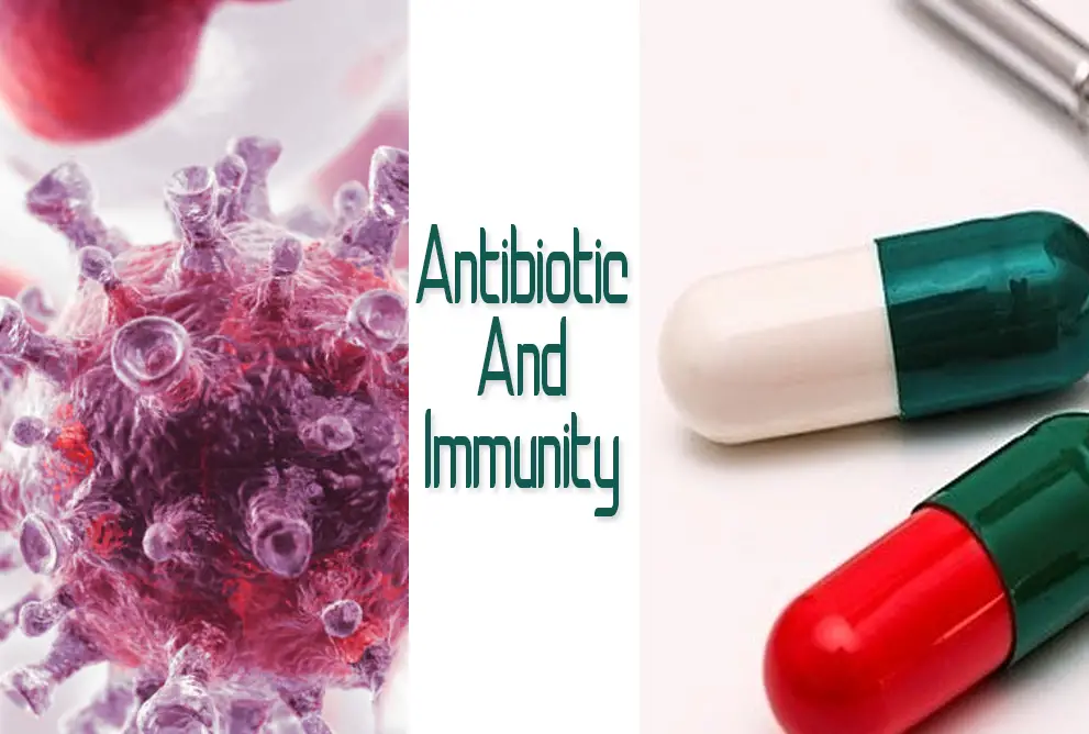 Do Antibiotics Weaken Your Immune System?