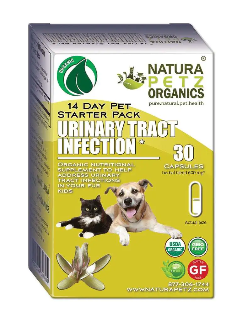 Dog Cat Urinary Infection Starter Pack UTI Starter Pack