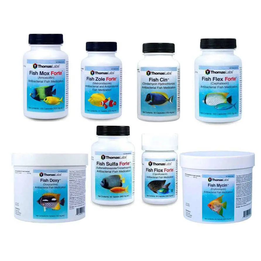 Fish Antibiotic Preparedness Package 8 Count