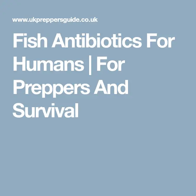 Fish antibiotics for humans, a potential life saver in a survival ...