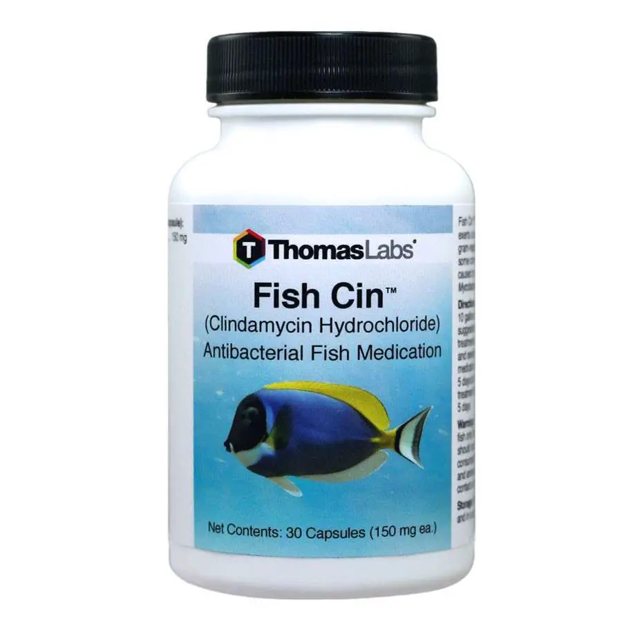 Fish Cin Clindamycin 150 mg 30 Count by thomas labs ...