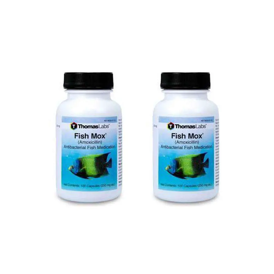 FISH MOX 250 mg Amoxicillin