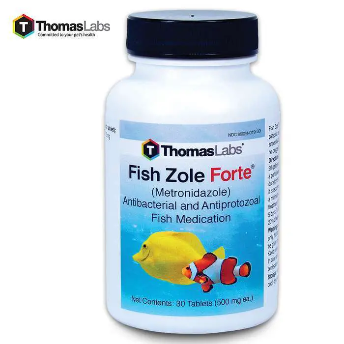 Fish Zole Forte 500 mg Metronidazole Antibiotics