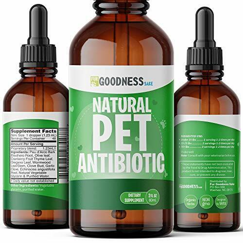 Fur Goodness Sake Natural Antibiotic Alternative for Dogs &  Cats ...