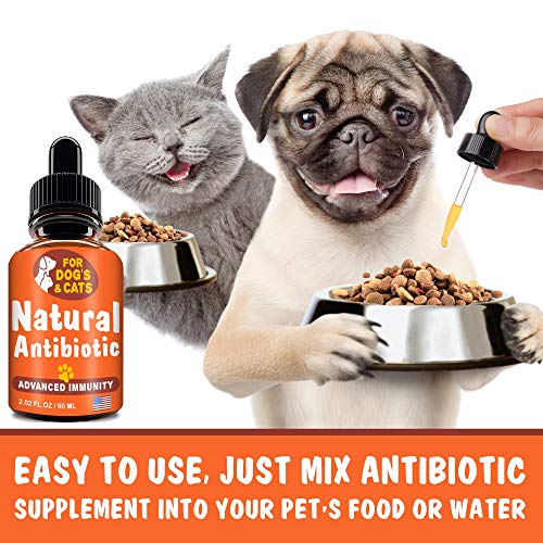 GOODGROWLIES Natural Antibiotic for Dogs and Cats