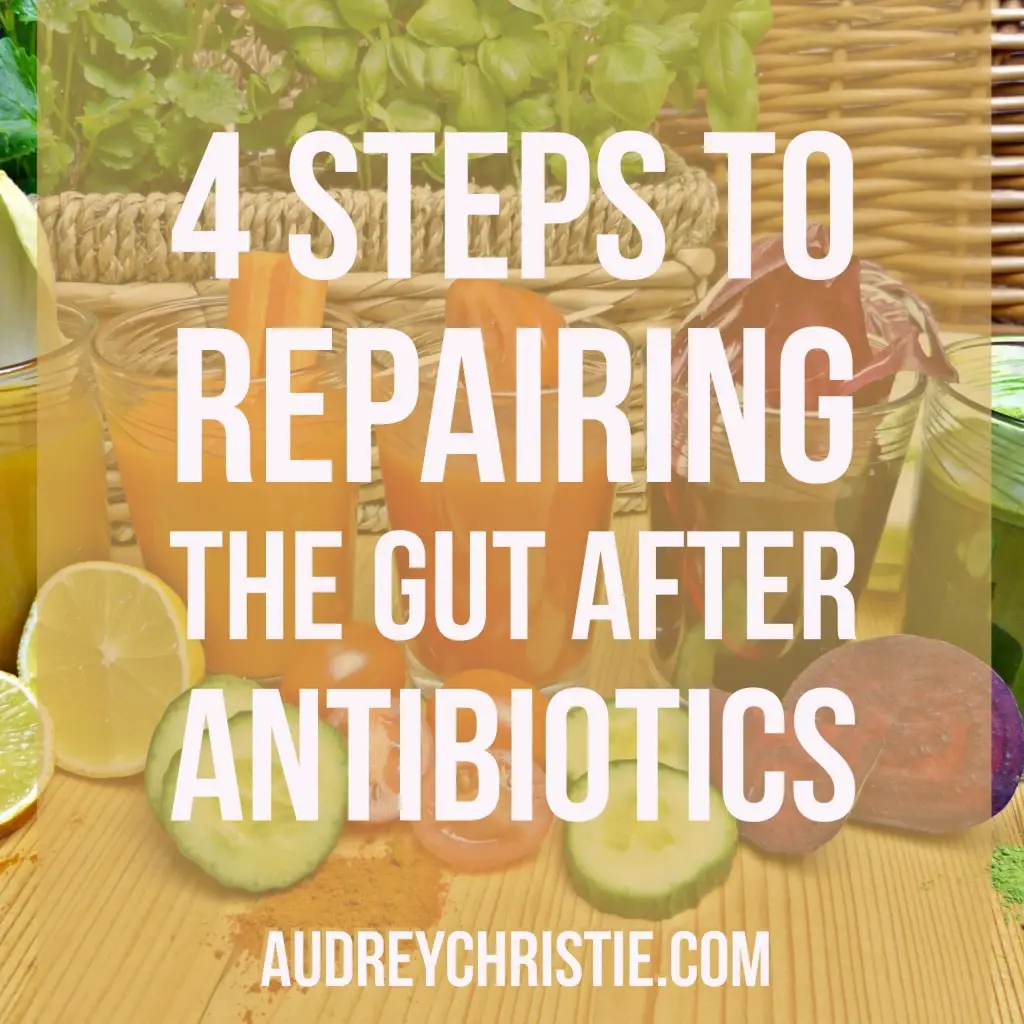 Heal Your Gut After Antibiotics » AudreyChristie.com
