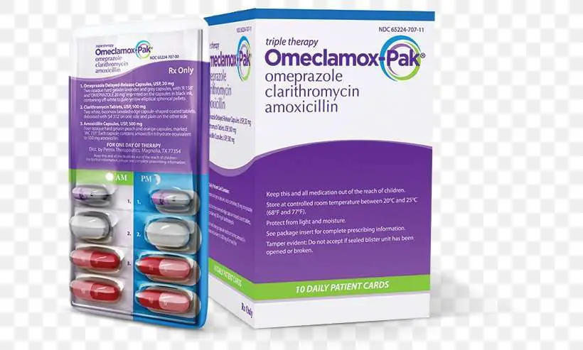 Helicobacter Pylori Eradication Protocols Amoxicillin Pharmaceutical ...