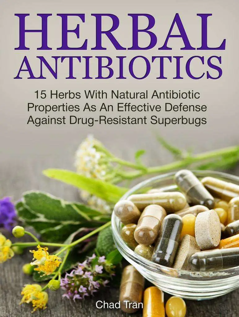 Herbal Antibiotics: 15 Herbs With Natural Antibiotic ...