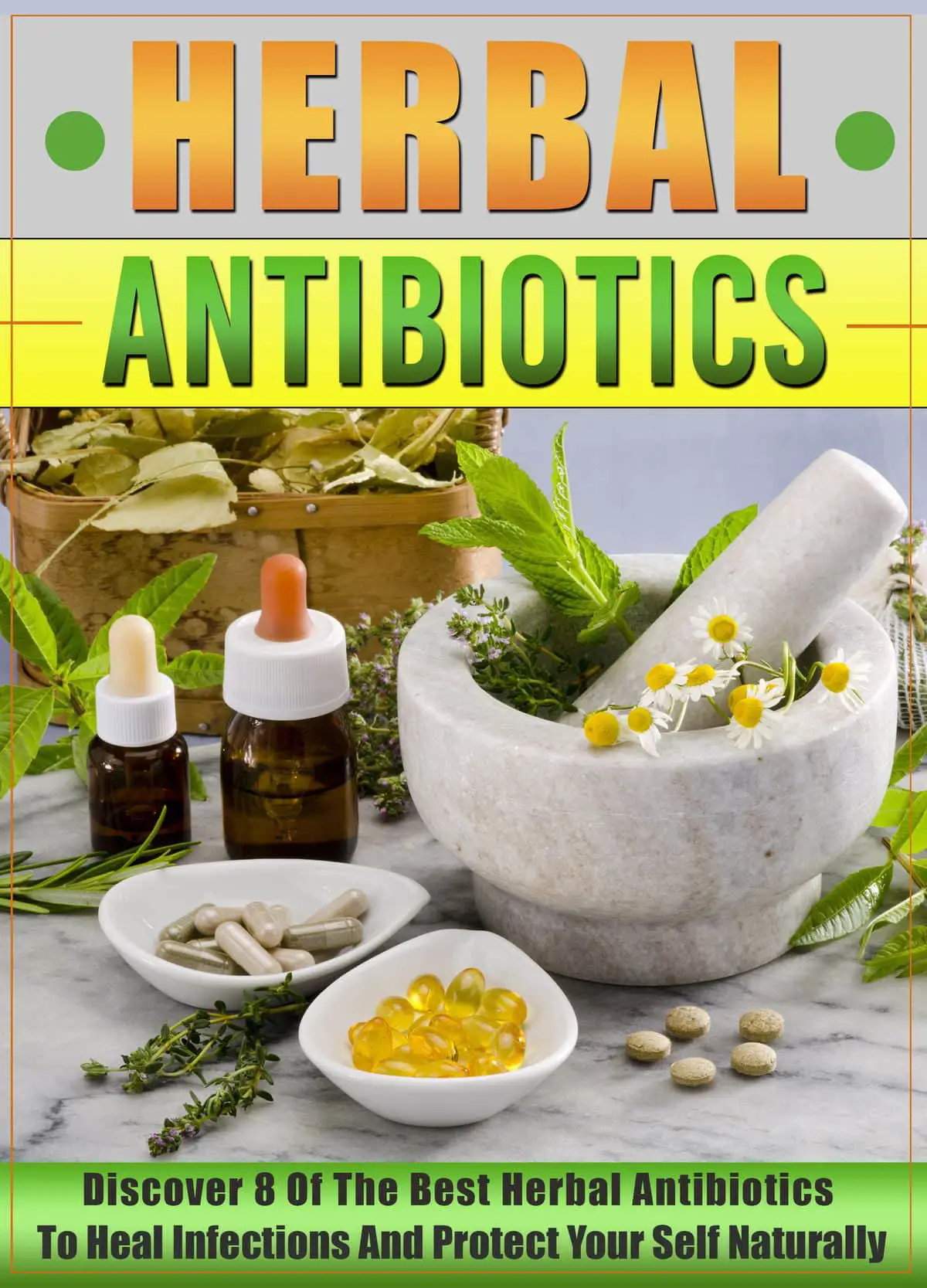 Herbal Antibiotics: Discover 8 Of The Best Herbal Antibiotics To Heal ...