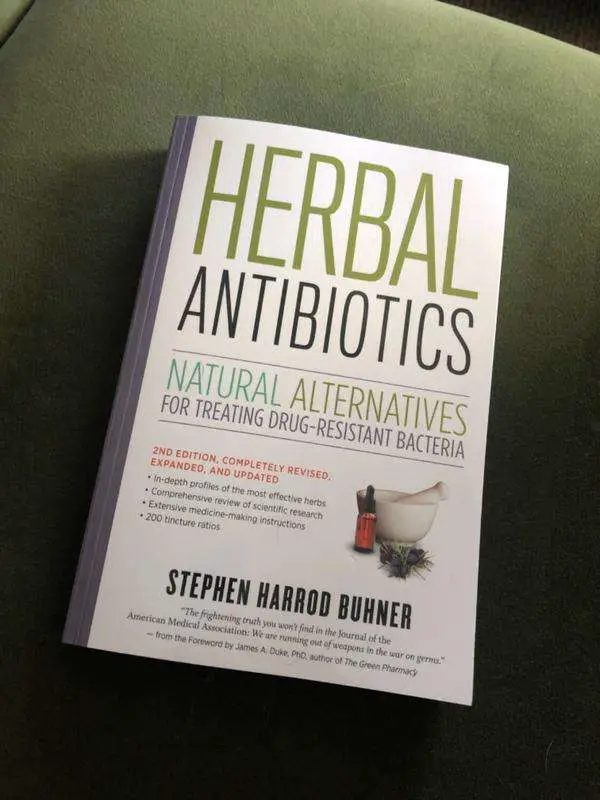 Herbal Antibiotics: Natural Alternatives for Treating Drug