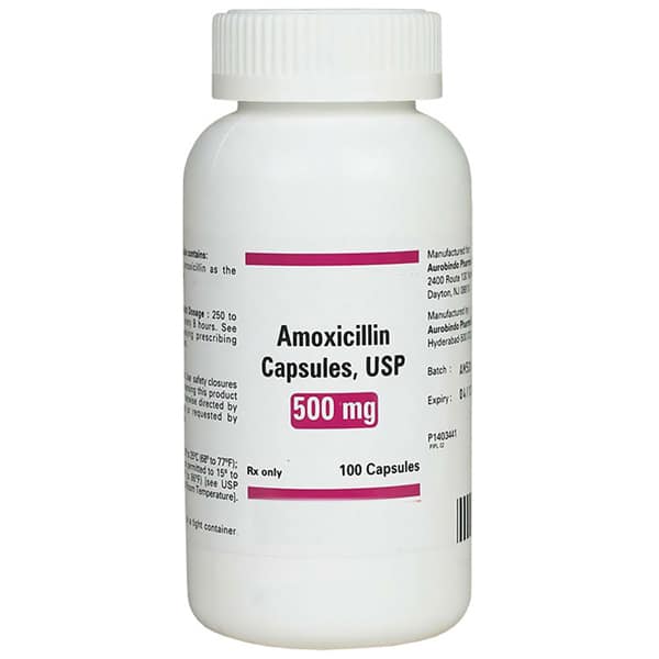 House Brand Amoxicillin 500 mg, Bottle of 100 Capsules