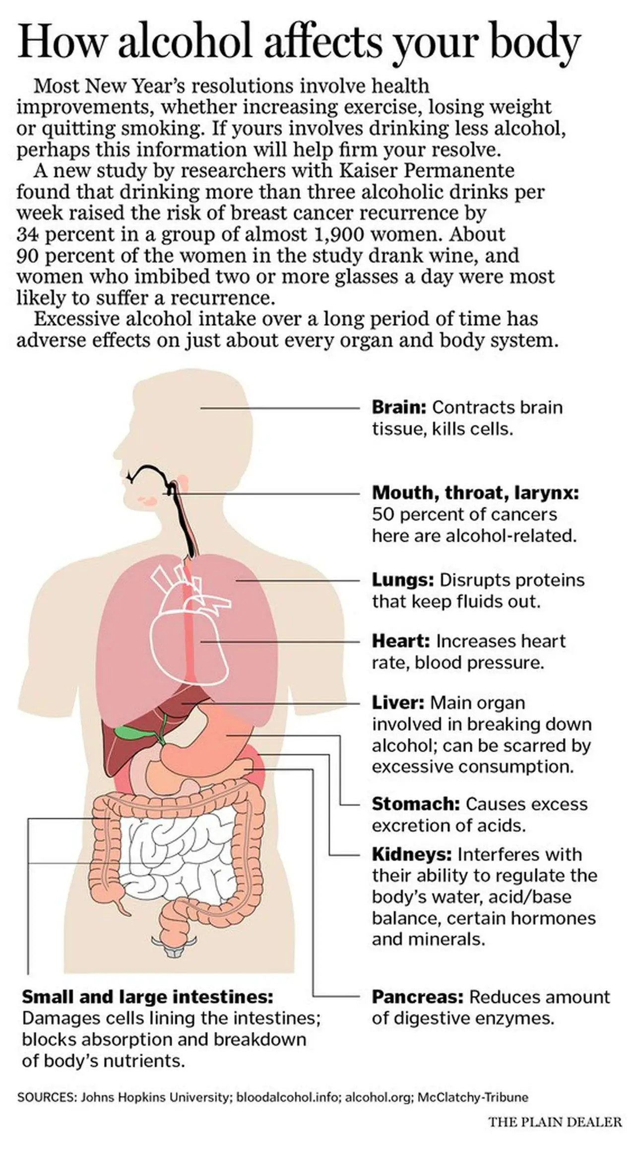 How alcohol affects your body