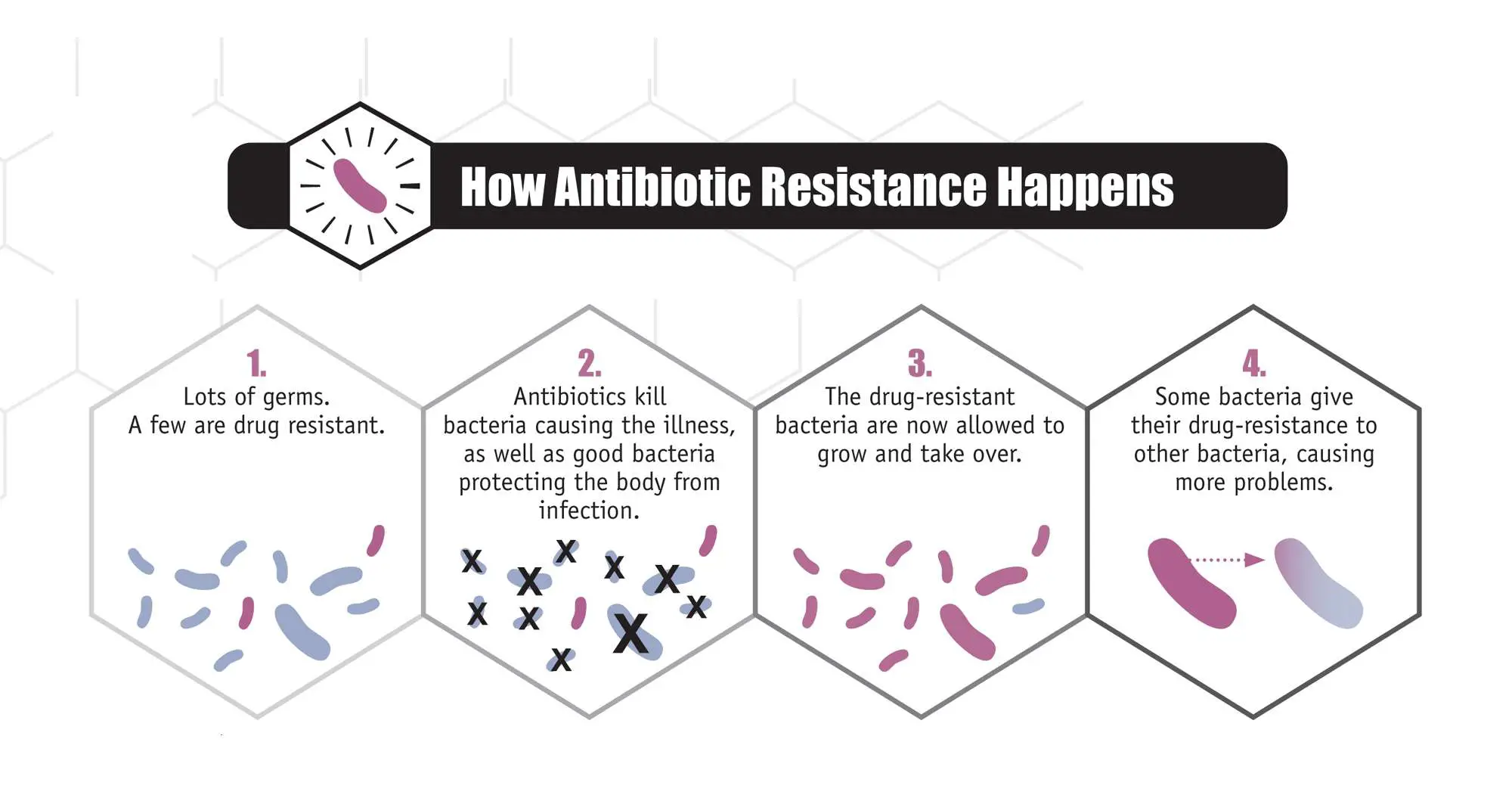 How do bacteria become resistant to antibiotics? 7 ...