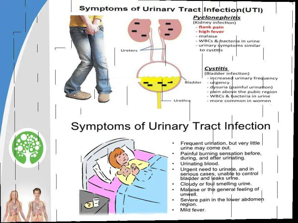 How to fix uti at home: The request could not be satisfied