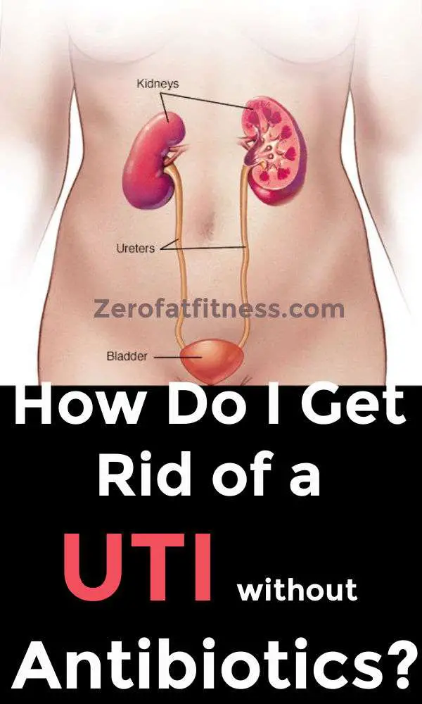 How to Get Rid of a UTI in 24 Hours: 6 UTI Home Remedies
