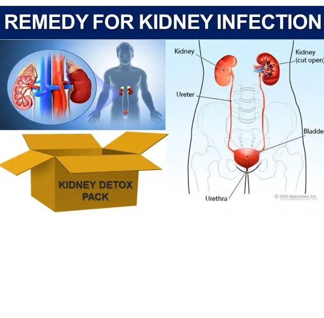 How To Get Rid Of Male Urinary Tract Infection