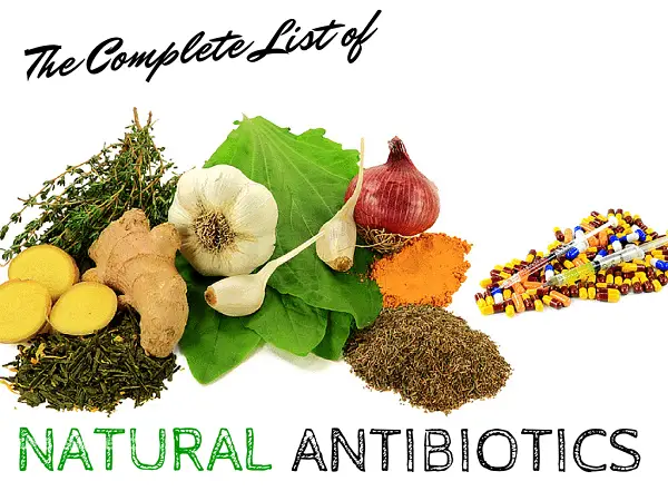 How to Use the 15 Best (Proven) Natural Antibiotics (Foods &  Herbs)
